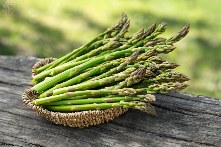 easy seasoning for asparagus in oven