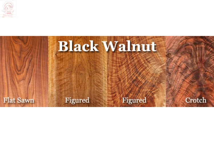 Black Walnut wood