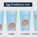 How to check egg is good or bad? 8 simple ways to tell
